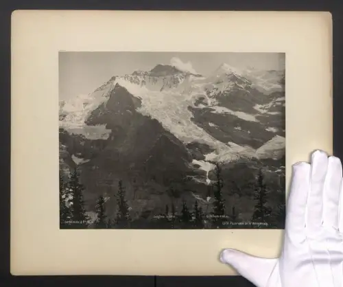 Fotografie Ed. Schroeter & Cie., Zürich, Ansicht Wengeralp, Panorama der Wengeralp mit Jungfrau & Silberhorn, Gletscher