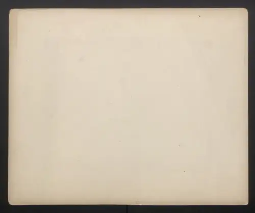 Fotografie Ed. Schroeter & Cie., Zürich, Ansicht Wengeralp, Panorama der Wengeralp mit Jungfrau & Silberhorn, Gletscher
