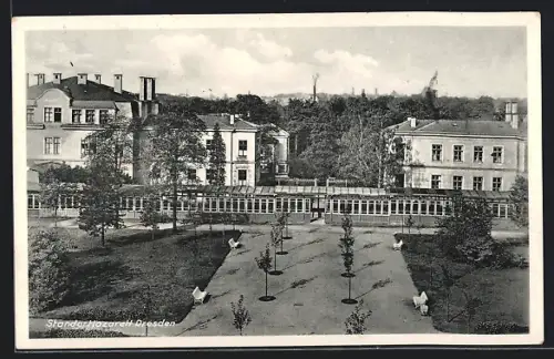 AK Dresden-Neustadt, Standortlazarett mit Anlage aus der Vogelschau