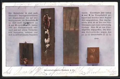 AK Dresden-Niedersedlitz, Betriebsdruckerei Höntsch & Co., Holzschutzversuch mit Höntschfluid
