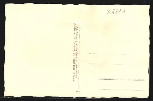 AK Ostrau /Sächs. Schweiz, Jugendherberge aus der Vogelschau, 1921