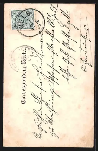 AK Wels, Schmidtgasse mit Geschäften