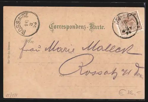 Lithographie Melk a. Donau, Benedictiner-Abtei, Portal des Stiftes, Prälatenhof, Hochaltar, Ruine Weitenegg