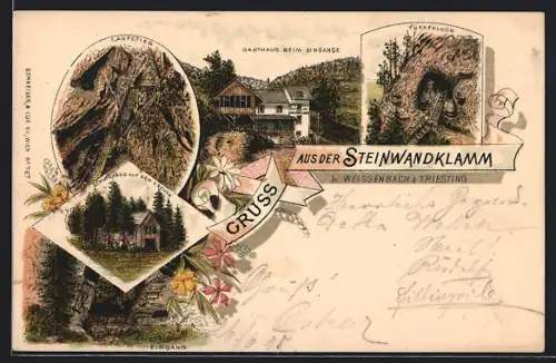 Lithographie Weissenbach am Triesting, Steinwandklamm, Schutzhaus auf dem Kreuth, Gasthaus beim Eingang