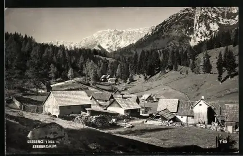 AK Turnau /Stmk., Seebergalm mit Seeberg