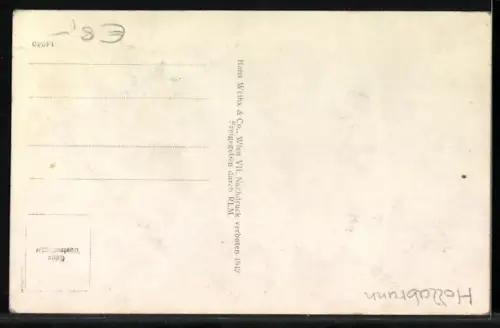 AK Retz /N.-Ö., Totalansicht vom Flugzeug aus