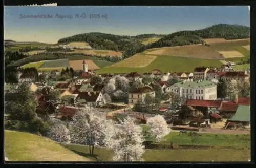 AK Aspang, Ortsansicht aus der Ferne