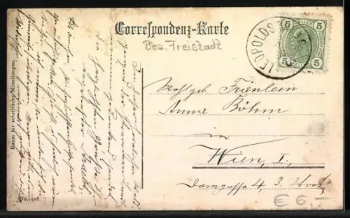 AK Leopoldschlag /O.-Ö., Ortspanorama von einem Acker aus