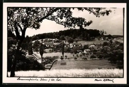 AK Eggenberg /O.-Oe., Sommerfrische Iben