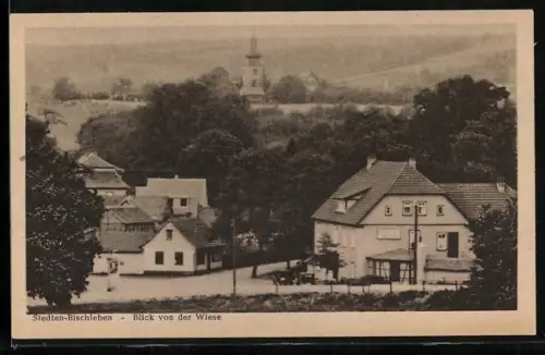 AK Stedten-Bischleben, Blick von der Wiese mit Kirchturm