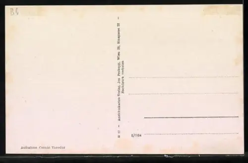 AK Unterpullendorf, Ortsansicht, Strasse