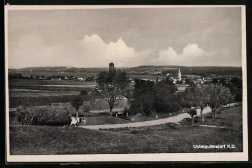 AK Unterpullendorf, Panorama, Fuhrwerk mit viel Heu beladen