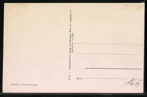 AK Unterpullendorf, Panorama, Fuhrwerk mit viel Heu beladen