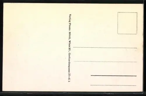 AK Peuerbach, Ortsansicht von einem Feldweg, Strassenpartien