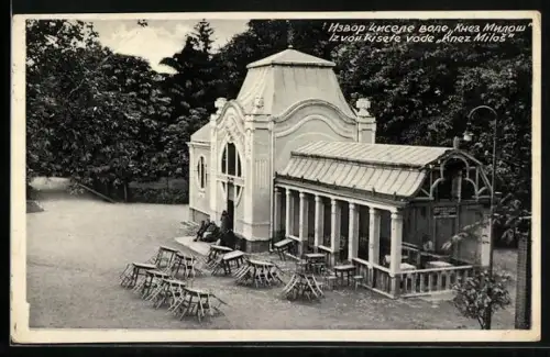 AK Bukovicka Bania, Izvor Kisele vode Knez Milos