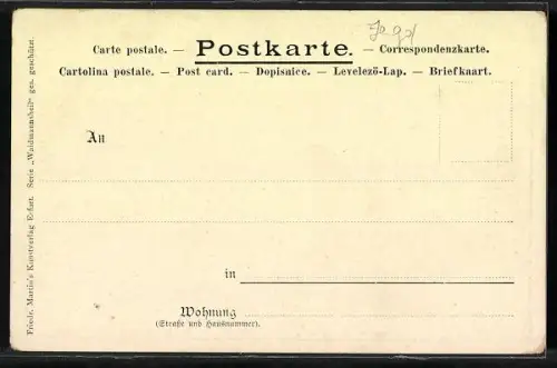Künstler-AK Birkhahn-Kampf auf dem Feld