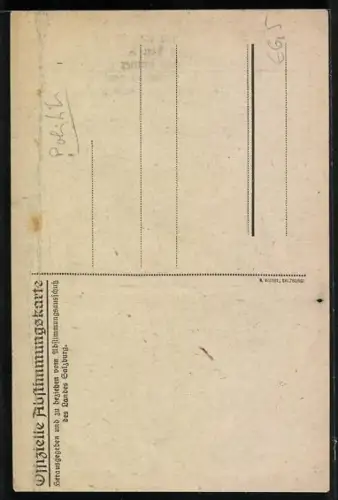 Künstler-AK Salzburg, Volksabstimmung über den Anschluss an Deutschland 1920, Ortsansicht, wütender Stier