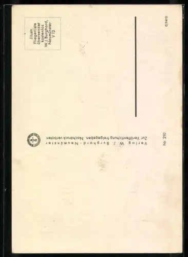 Künstler-AK Flugzeug-Pilot wird in seiner Maschine vom Sturmwind durchgerüttelt