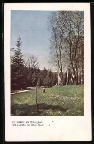 AK Deutscher Schulverein Nr. 1284: Sei gegrüsst, du Waldgestade...