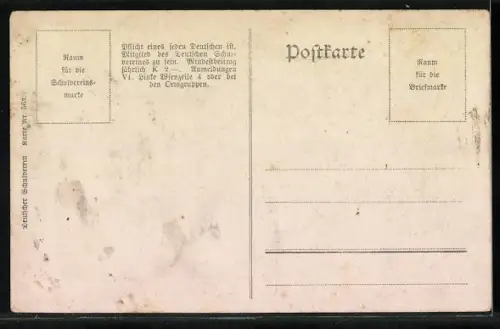 AK Passau, Gesamtansicht an der Donau von oben, Deutscher Schulverein