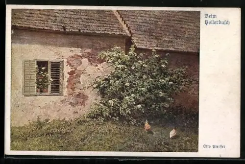 AK Deutscher Schulverein Nr. 888: Beim Hollerbusch, Holunder