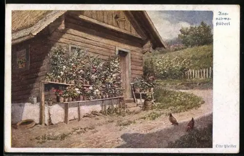 AK Deutscher Schulverein Nr.884: Ausnahmstüberl