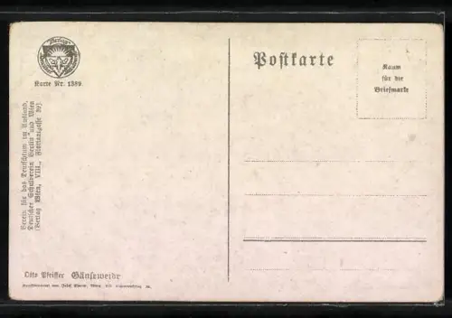 AK Deutscher Schulverein Nr.1389: Auf der Gänseweide
