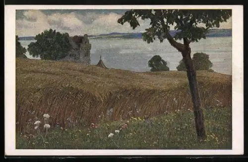 AK Deutscher Schulverein Nr. 1092: Kornfeld an einem See, Blick auf ein Schloss