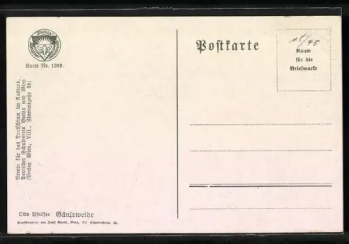 AK Deutscher Schulverein Nr.1389: Auf der Gänseweide