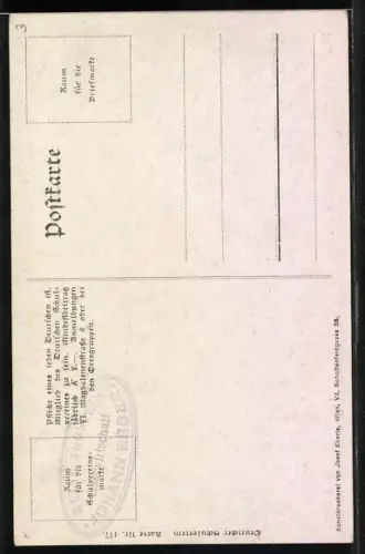 AK Deutscher Schulverein NR 177: Stein a. D., Blick auf den Ort