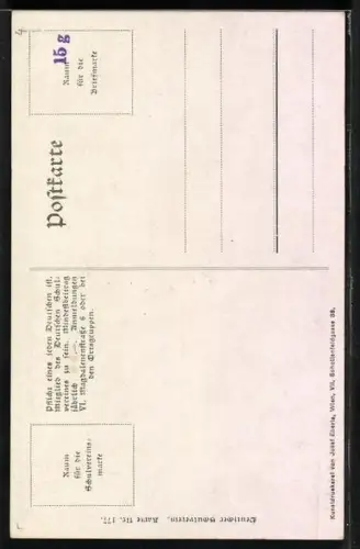 AK Deutscher Schulverein NR 177: Stein a. D., Blick auf den Ort