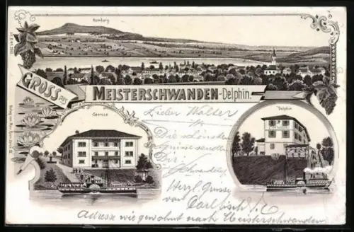 Lithographie Meisterschwanden, Hotel zum Delphin, Hotel Seerose, Ortsansicht mit Homberg