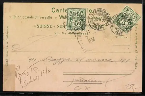 Lithographie Meisterschwanden, Hotel zum Delphin, Hotel Seerose, Ortsansicht mit Homberg