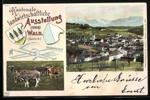AK Wald /Zürich, Kantonale landwirtschaftliche Ausstellung 1900, Ortsansicht, Kühe auf der Weide