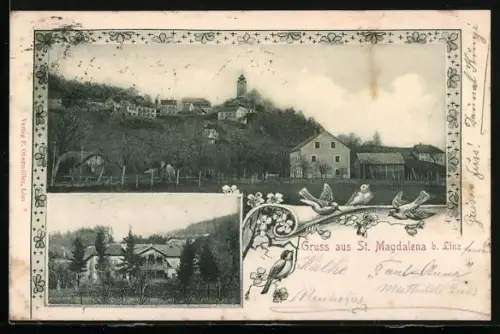 AK St. Magdalena b. Linz, Ortsansicht mit Kirche