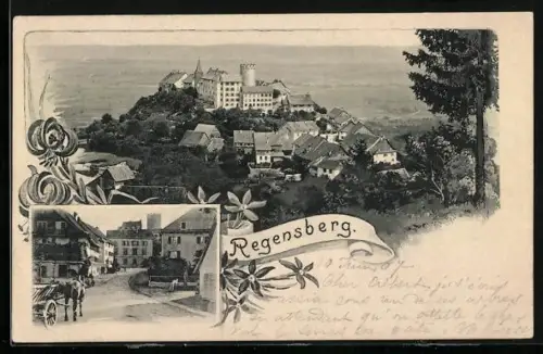 AK Regensberg, Strassenszene, Ortschaft von oben