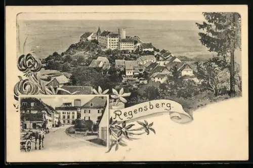 AK Regensberg, Gesamtansicht und Strassenpartie