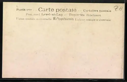 AK Wädenswil, Musikfest 1908, Grosses Orchester musiziert auf der Strasse