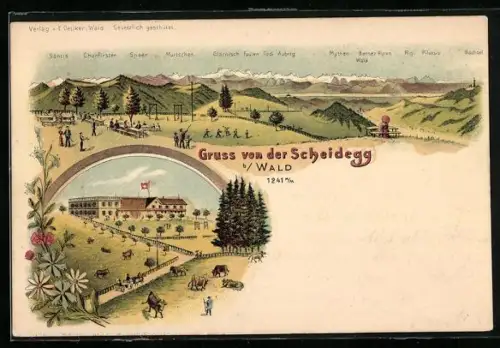 Lithographie Wald /Zürich, Kurhaus Scheidegg, Bes. Lattmann, Wanderer betrachten das Gipfelpanorama