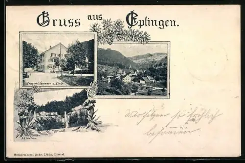 AK Eptingen, Pension z. Linde von Thommen, Witwald, Ortspanorama