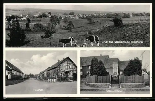 AK Mackenrode, Panorama, Kriegerdenkmal und Hauptstrasse