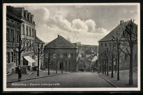 AK Münchberg i. Bayern, Partie in der Ludwigstrasse