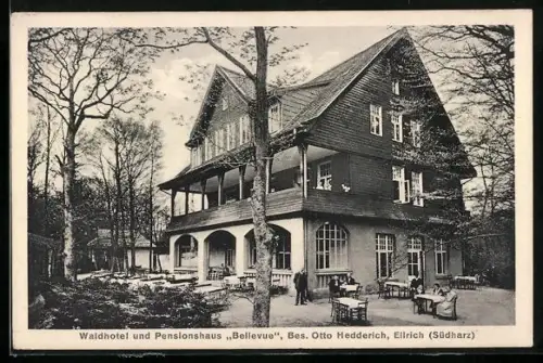 AK Ellrich / Harz, Waldhotel und Pension Bellevue