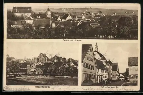 AK Obersontheim, Schlosspartie, Strassenpartie, Ortsansicht