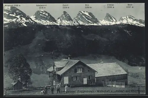 AK Unterwasser /Toggenburg, Gasthaus zur Halde mit Churfirsten, Brisi, Frümsel und Hinterruck