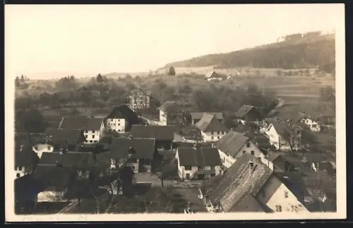 AK Burg /Aargau, Ortsansicht aus der Vogelschau gegen den Wald