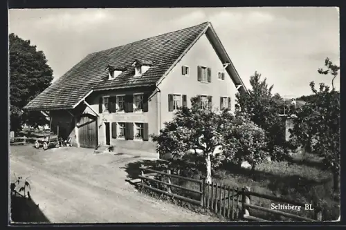 AK Seltisberg /BL, Gasthof und Ferienheim zum Schützen, Fam. Wüthrich