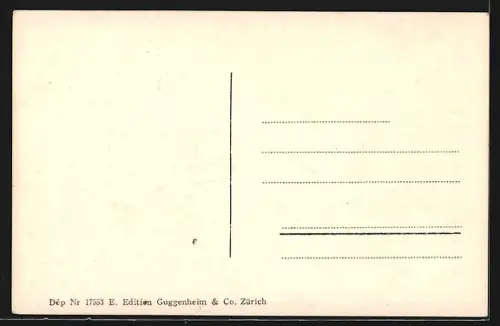 AK Aarau, Blick auf das Regierungsgebäude