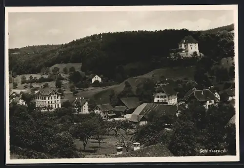 AK Schlossrued, Ortsansicht gegen den Wald aus der Vogelschau