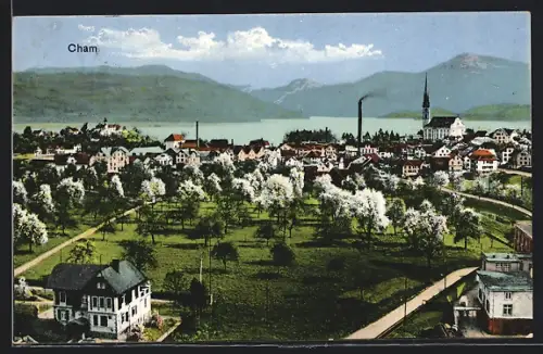 AK Cham, Generalansicht der Stadt
